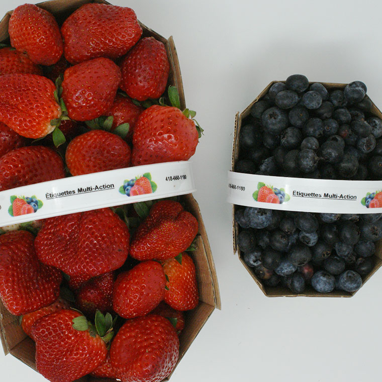 Paniers de fraises et bleuets étiquetés